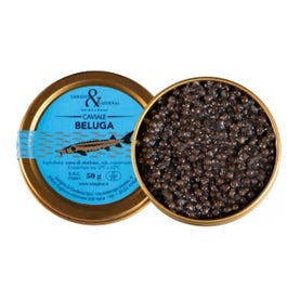 Caviale Beluga — Tina Pregiata da 500g di Huso Huso