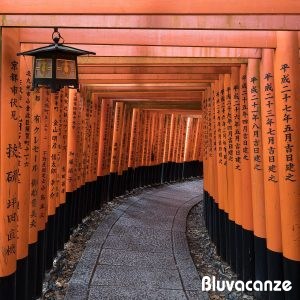Giappone: Viaggio tra Tokyo e Kyoto